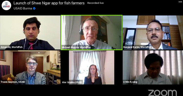 Screenshot of the official virtual launch of the Shwe Ngar mobile app live streamed on USAID Burma's Facebook page on 13 October 2020.