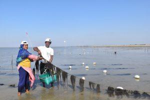 The move to seaweed farming has been encouraged as an alternative income-generating stream through eco-friendly marine farming. Photo by ECOFISH II Project, 2017.