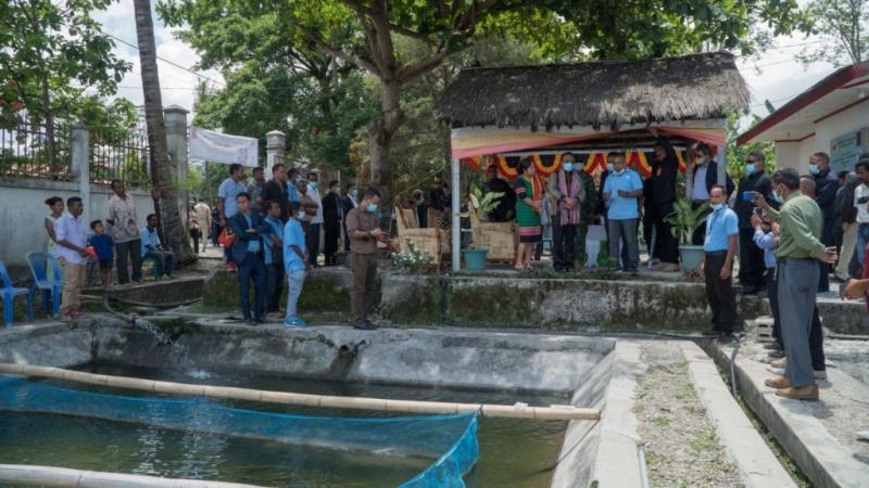 Martins explained that GIFT was first supplied to Timor-Leste in April 2015 when broodstock was sent from WorldFish Headquarters, Penang, Malaysia, to the Gleno Hatchery in Ermera. Photo by Joctan Lopes, 2020.