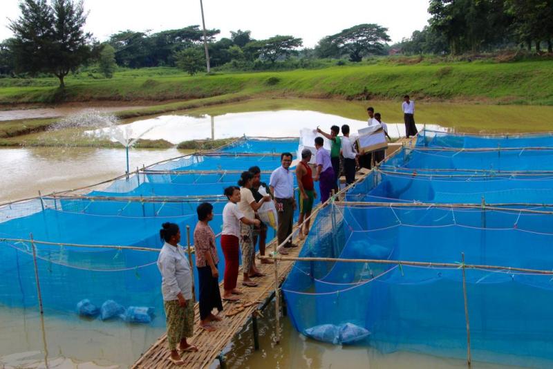 Aquaculture in Myanmar has grown rapidly. Photo by Manjurul Karim, 2016.