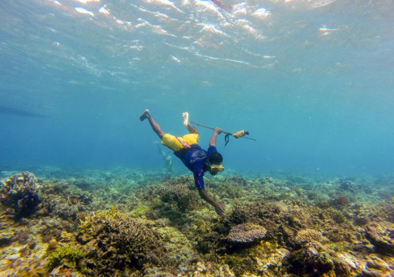 A spearfisher fishing on the reef near Adara, Timor-Leste.