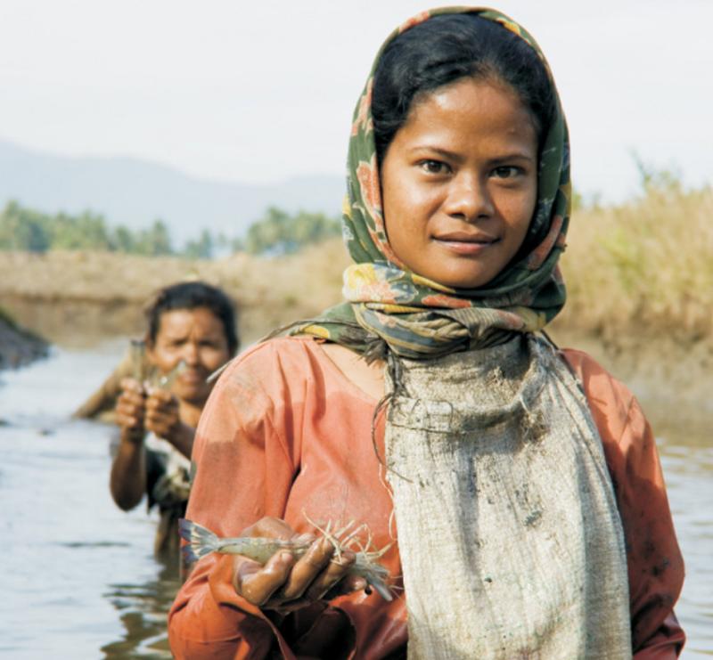 Shrimp farmer in Aceh, Indonesia. Photo by Sonny Iskander, 2011.