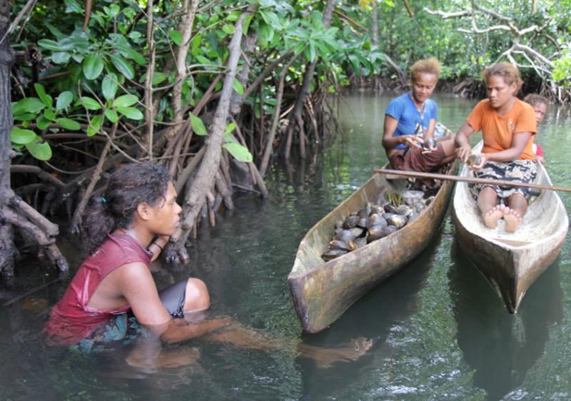 Women removing the shell from mangrove mudshells in Malaita, Solomon Islands. Photo by Wade Fairley.