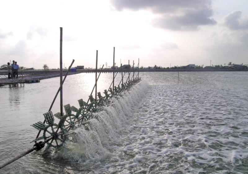 Aerating a shrimp pond in Bac Lieu province, Vietnam. Photo by Mark Prein, 2011.