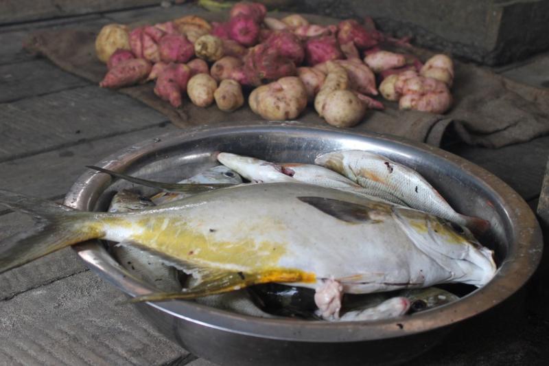 This dish of trevally fish and home-grown sweet potatoes represent some of the staple foods in the Solomon Islands diet, which women typically are responsible for cooking. Pip Cohen, 2016.