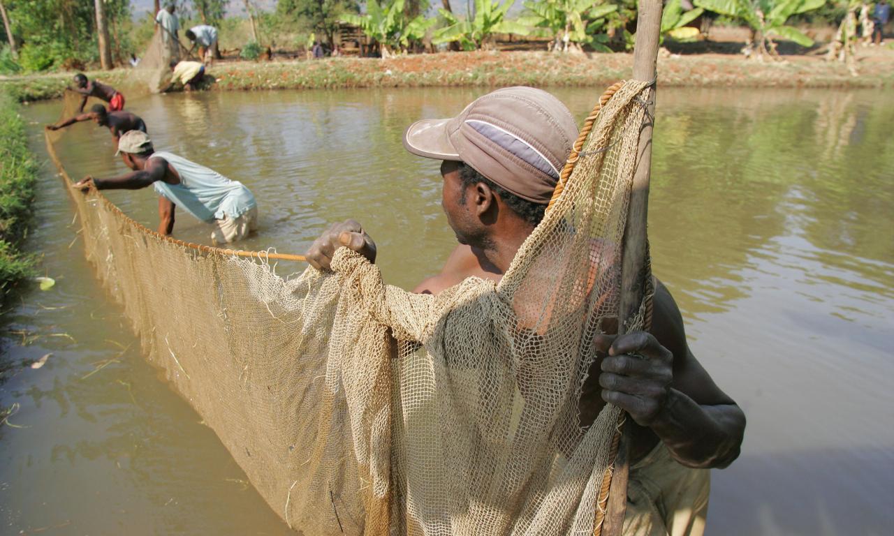 Fish farmers construct a pond in Malawi. Photo by Stevie Mann.