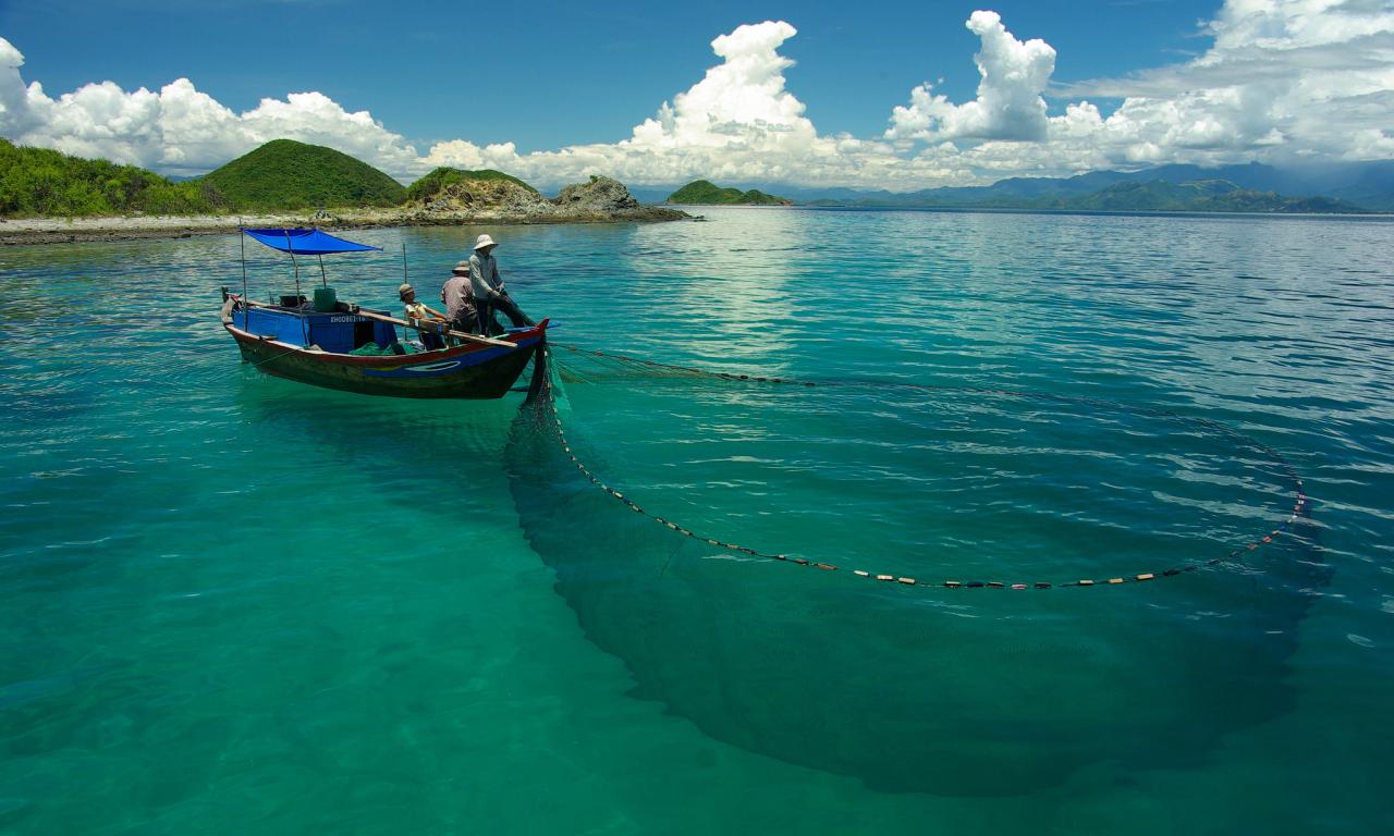 Boat and net