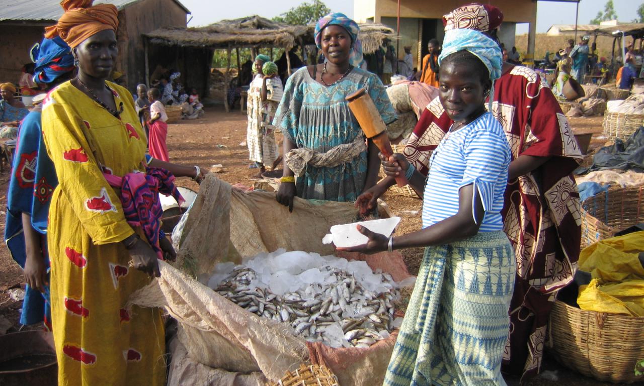 Fish traders in Mali