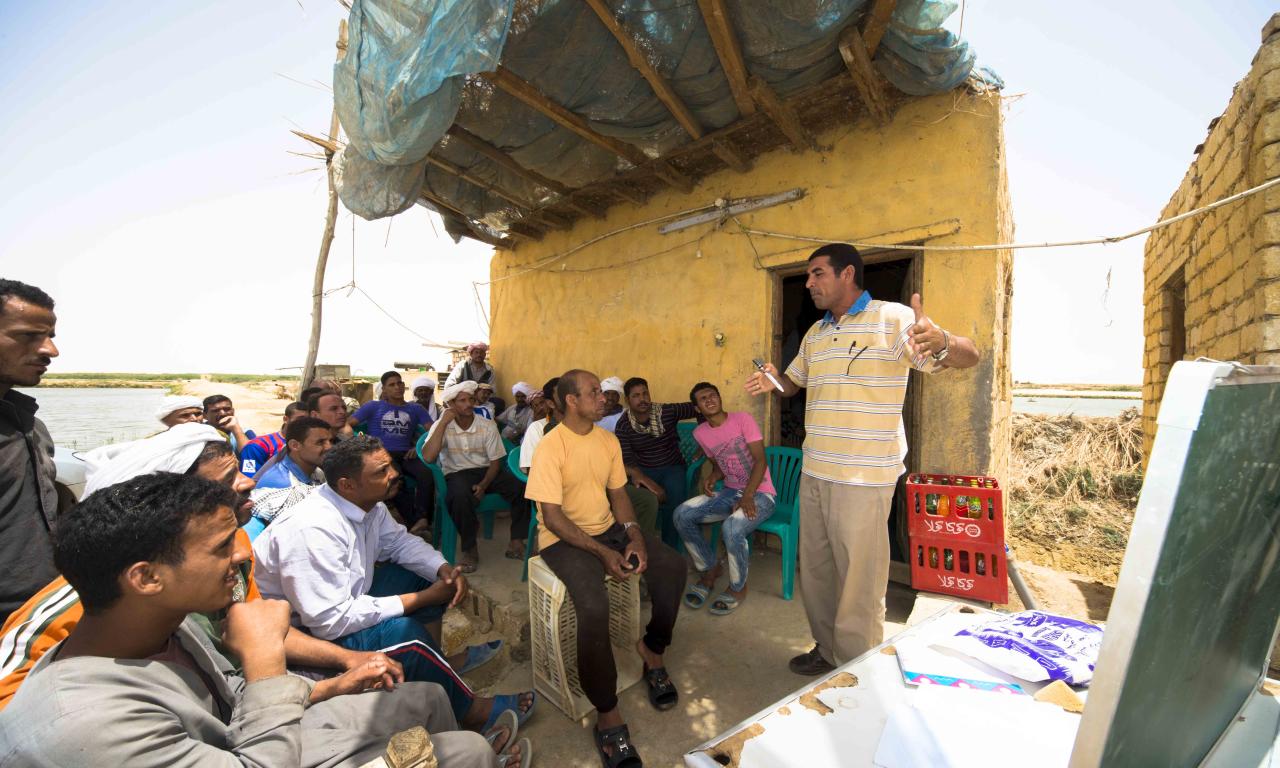 Hassan Ali Abdelrahman, a fish farmer and trainee, applied his learnings to increase his income and resilience. Photo: Heba El Begawi