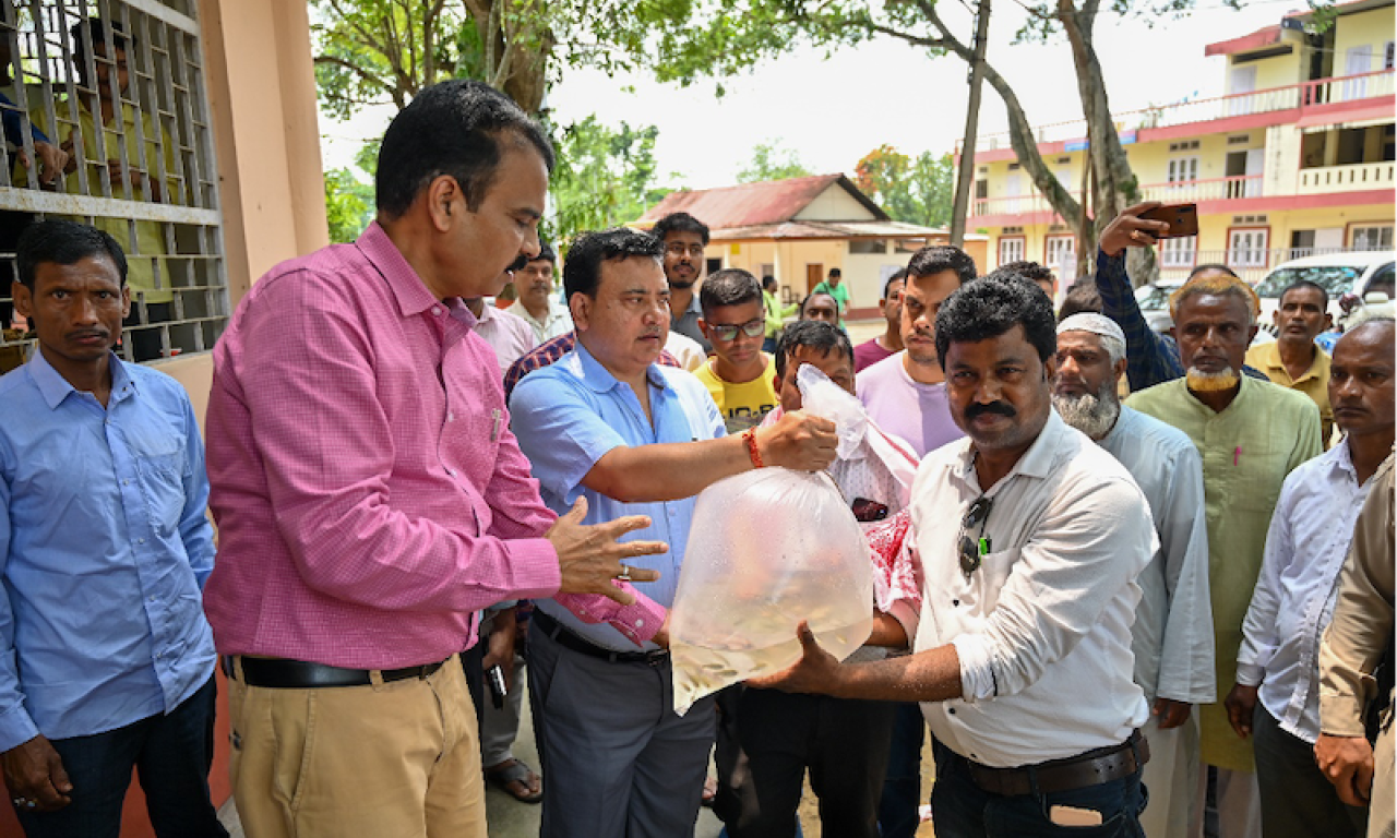 Munindra Nath Ngatey handing over oxygen-packed bags of mola seeds to farmers. Photo: Sourabh Kumar Dubey