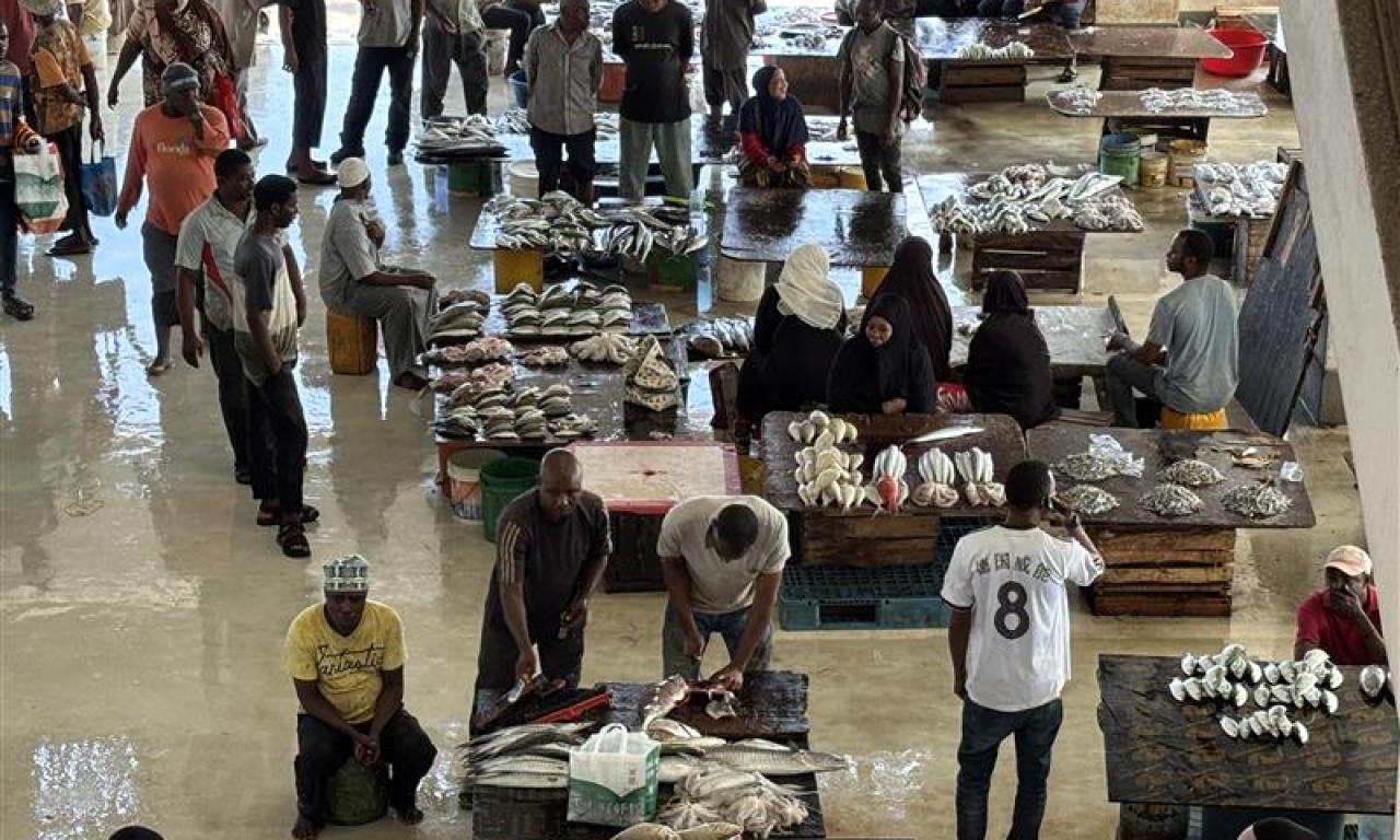 fish market in zanzibar.