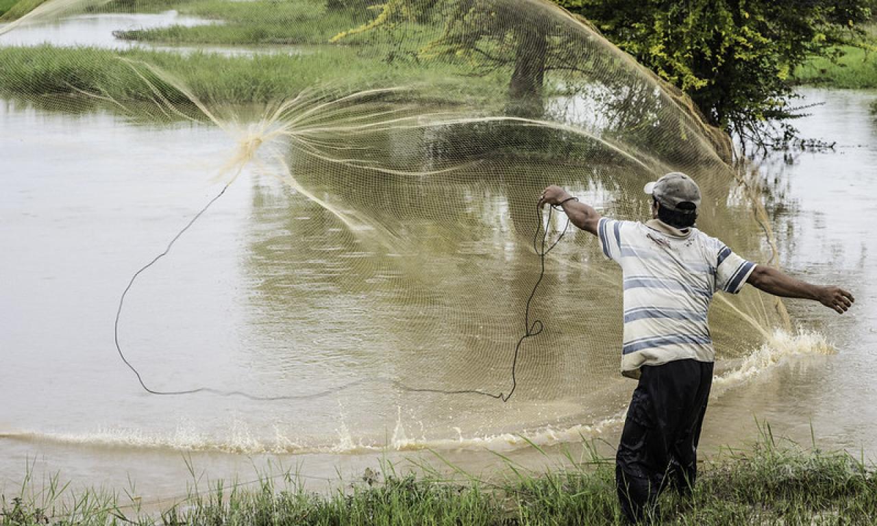 Community-led refuge for small fish in Cambodia provides food, nutrition and income security to the rural communities. Photo by Finn Thilsted. 
