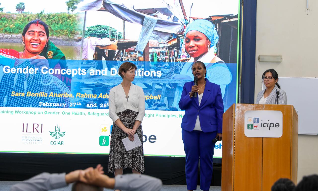 Facilitators lead participants through interactive discussions on inclusive agrifood systems.