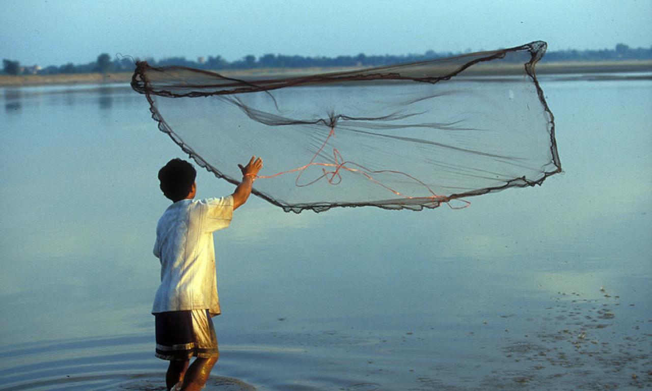 The new Blue Food Assessment research compiles and analyzes a variety of current national data to discover the four main functions that aquatic foods may play in improving the performance and sustainability of national food systems. Photo by Dominyk Lever.