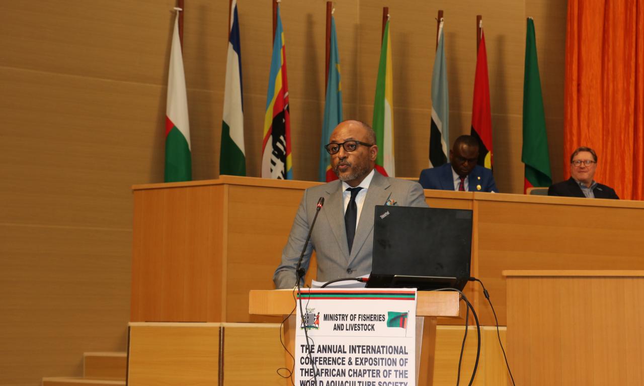 Essam Mohammed at AFRAQ23