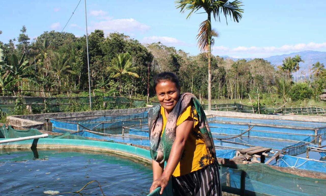 Amelia Da Silva has six ponds in Leohitu village, Timor-Leste, where she farms genetically improved farmed tilapia as part of a farmer cluster supported by the Partnership for Aquaculture Development in Timor-Leste Phase 2 (PADTL2) project. Photo by Carlos Alves Almeida. 