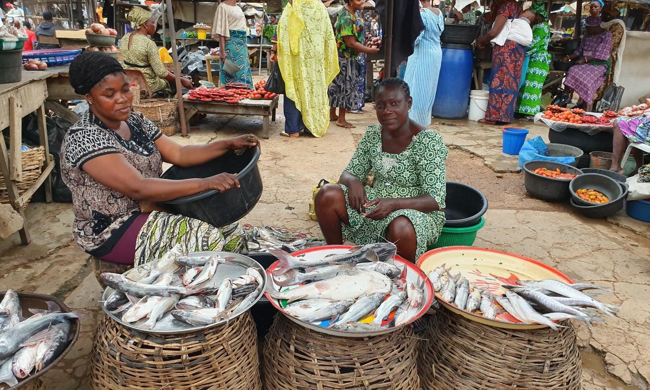 Marketing fish in a local market in Lagos, Nigeria. Photo by Nhuong Tran.
