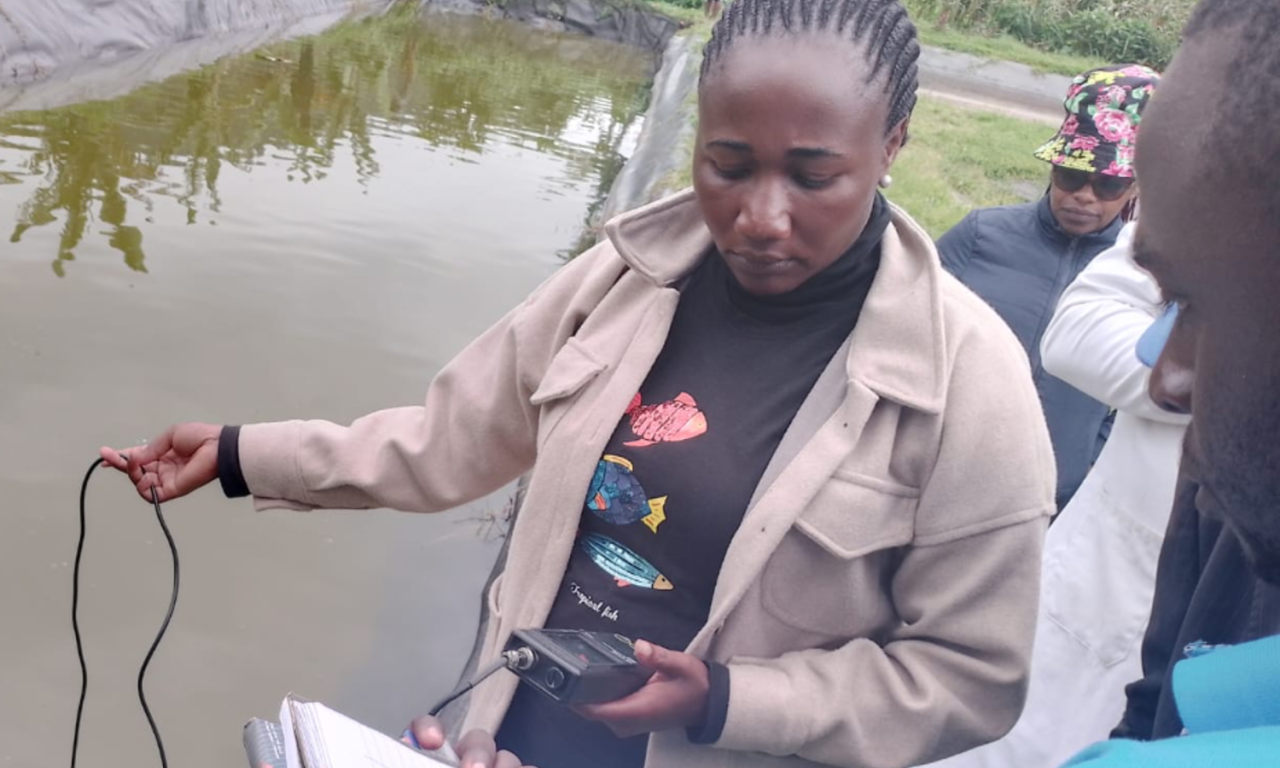 Mercy Matuma Hamisi sampling data of Jipe Tilapia (Oreochromis jipe), an endangered fish, for her master's program at Lake Jipe in Kenya. Photo taken by Cidee khaseke and Finnan Ageng'o, WorldFish.