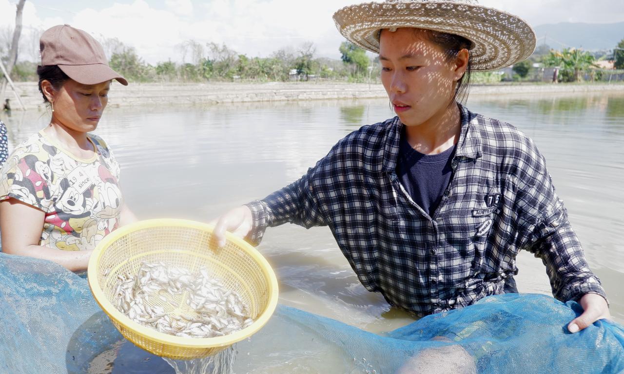 Twenty-three-year-old Nan Win Htwe now leads her family hatchery business together with her sister after the demise of their father. Photo by Kyaw Moe Oo.