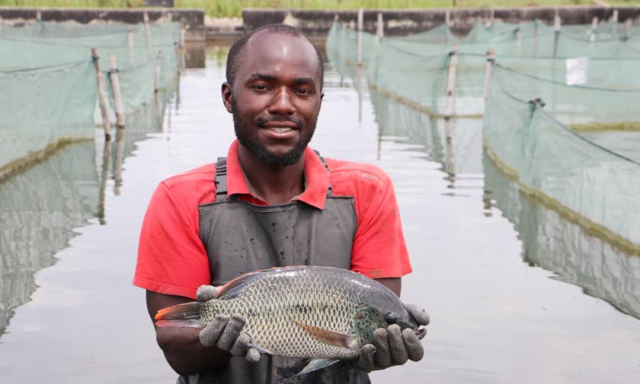 Man holding GIP tilapia 
