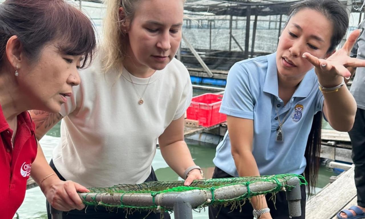 Aquapreneur Joey Tan shares insights into sea grapes cultivation and how it can be sustainably integrated into her aquaculture operations. 