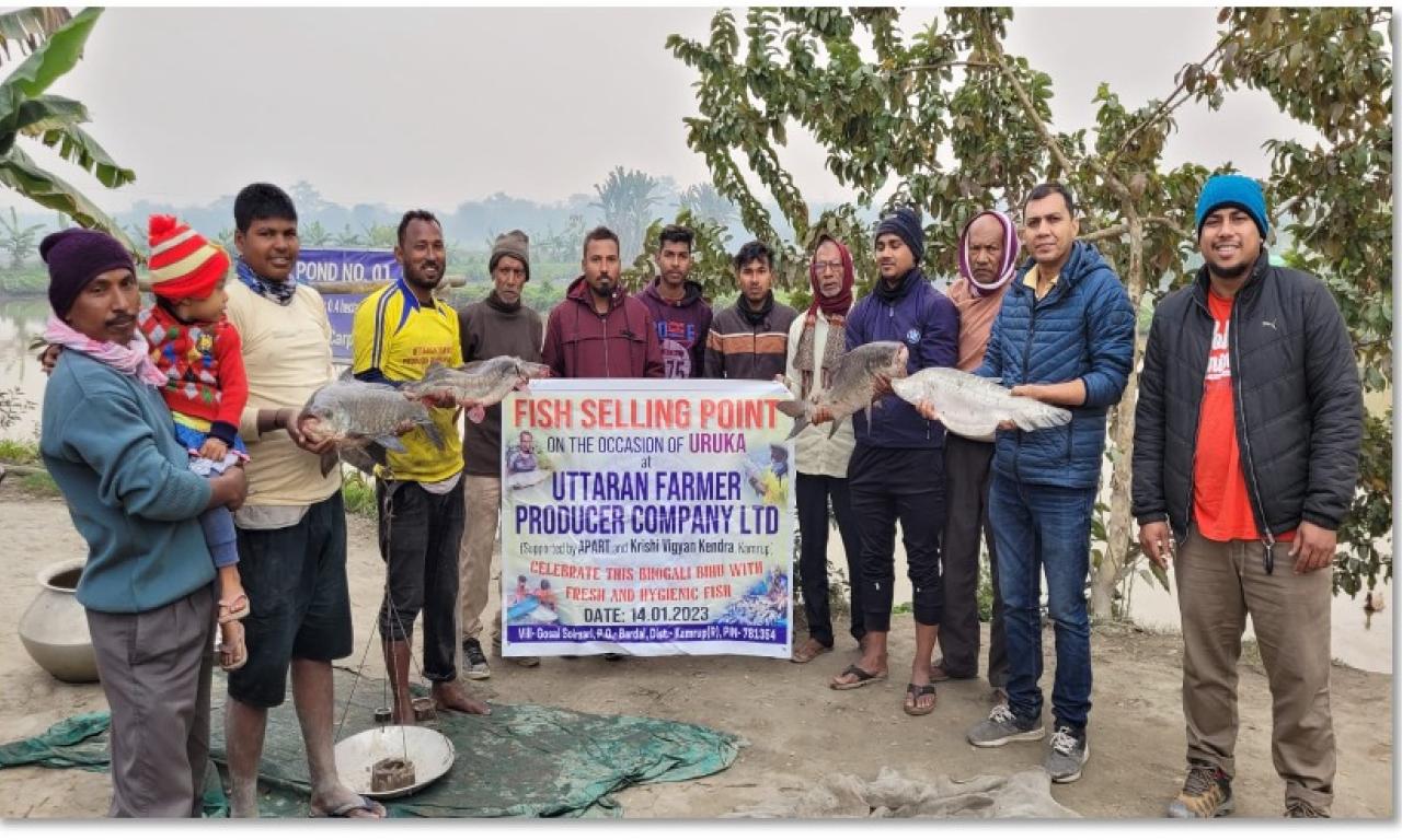 FPC members during selling their farm produced fish. Photo by Kashyap Borah, WorldFish.