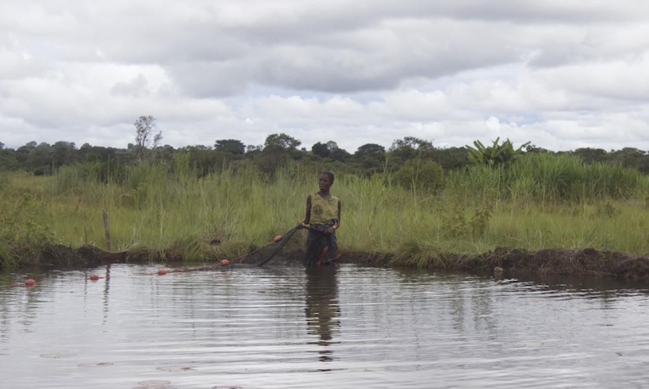 Aquaculture, especially polyculture systems with indigenous small fish species, has the potential to improve the nutrient intake of households during closed fishing seasons. Photo by Lulu Middleton.