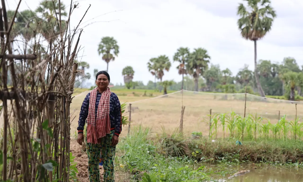 rice field system view with support from CGIAR Multifunctional Landscapes
