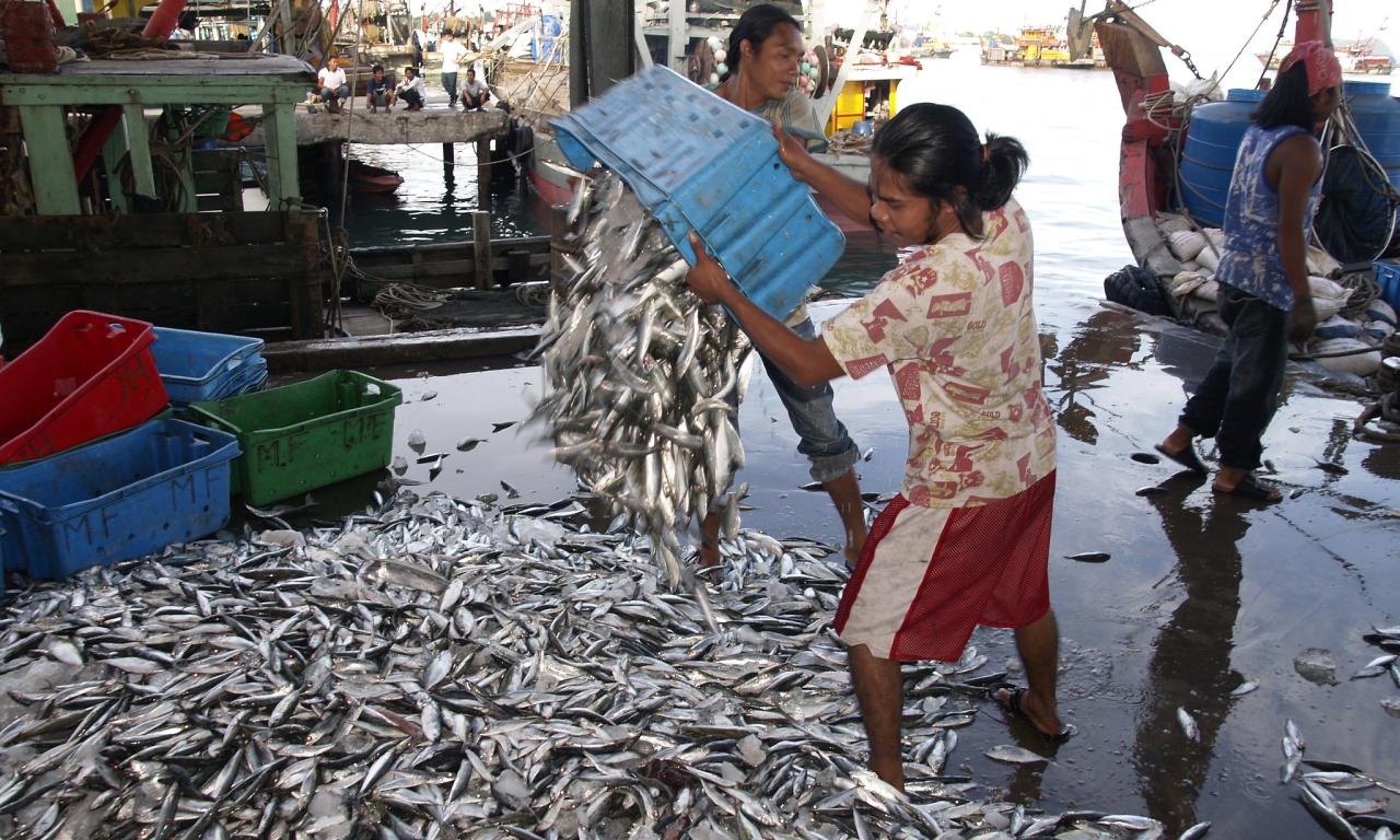 Small-scale fisheries, Kota Kinabalu, Malaysia, photo by Jamie Oliver, 2007