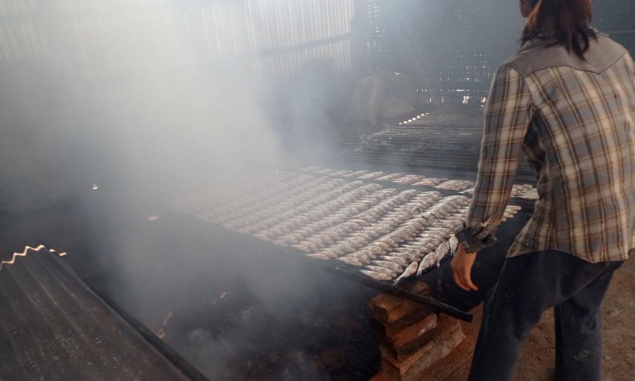 Smoking rohu fish using the FTT. Photo by Yu Muang.