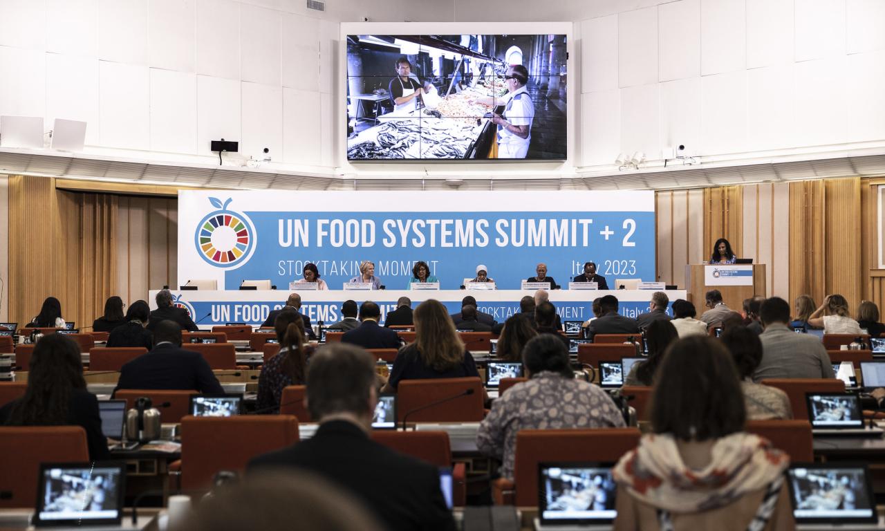 At the recent UN Food Systems Summit +2 Stocktaking Moment, ministers agreed on the vital importance of supporting the sustainable development of aquatic food systems. Photo: FAO