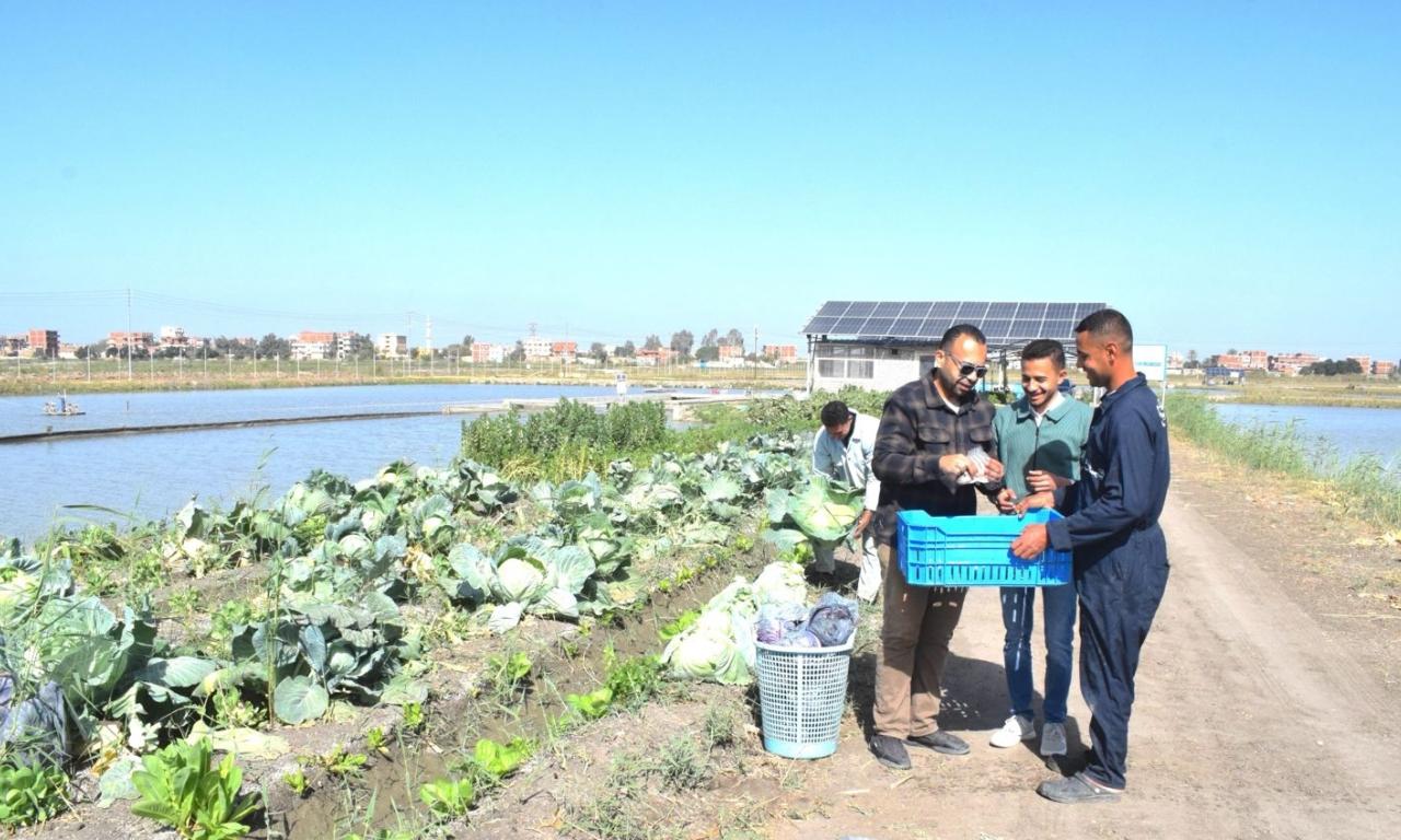 in pond raceway egypt