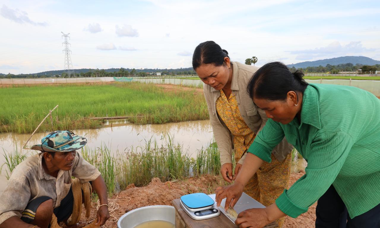 Women-Led Prawn Sampling for Growth Monitoring, Kampong Thom Province © SEAN Vichet