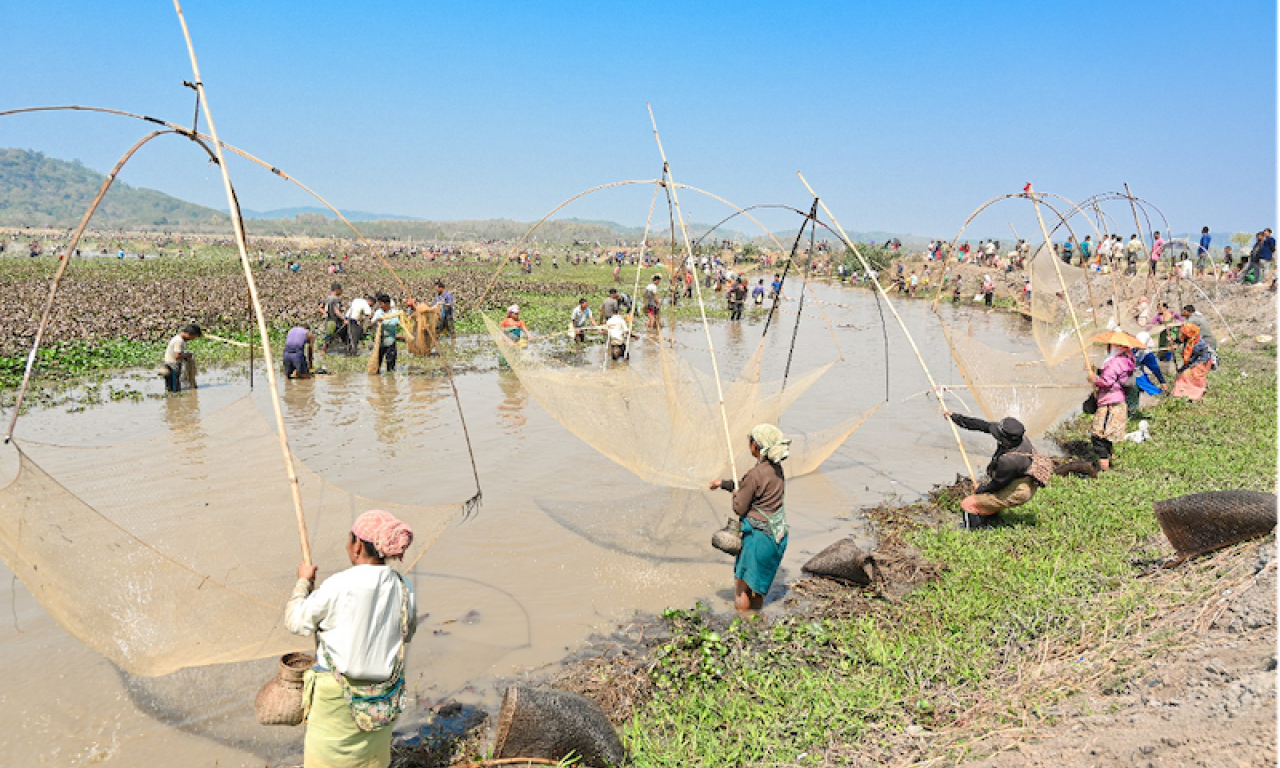 Women represent up to 60 percent of gatherers. Photo: SK Dubey