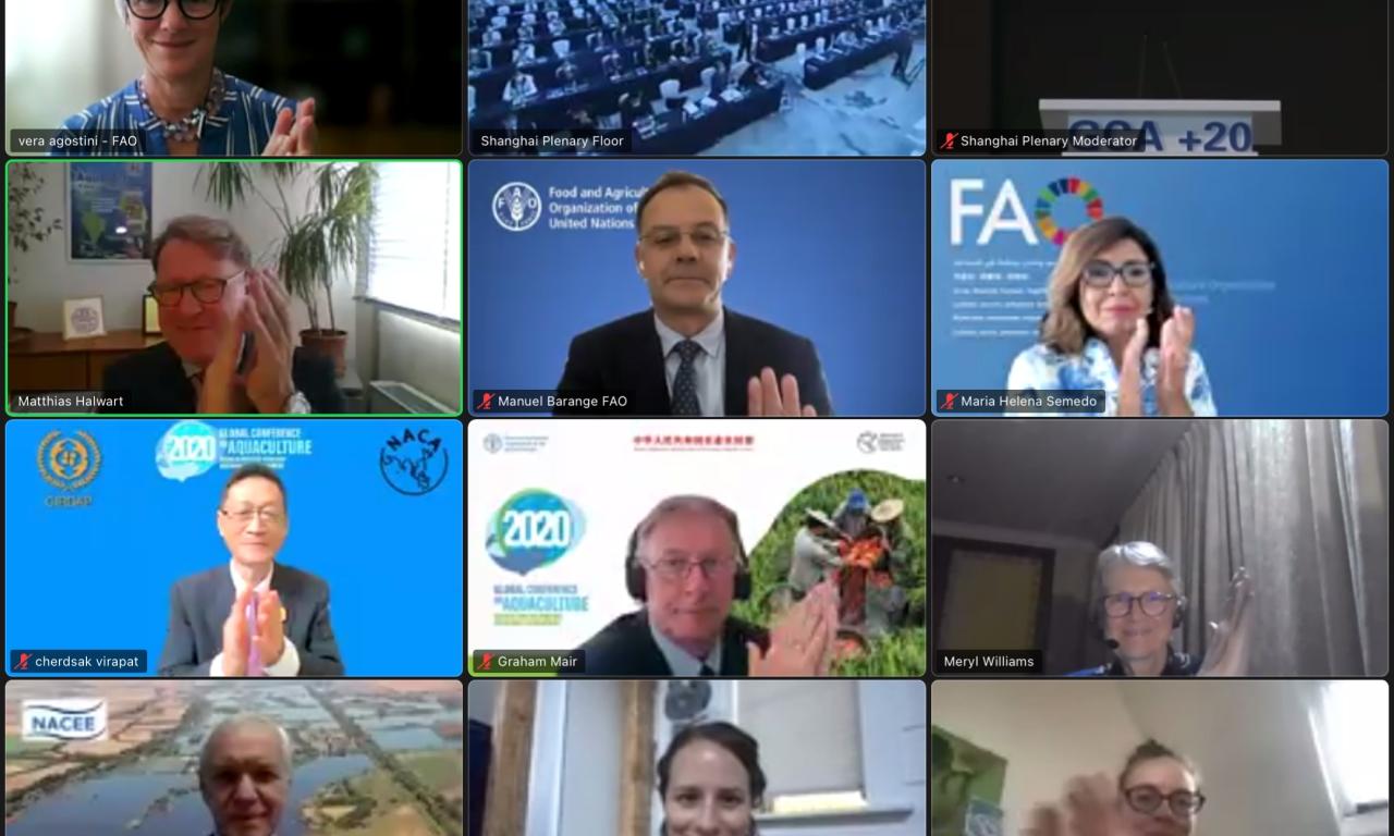 The Shanghai Declaration is adopted by acclamation. Photo is screenshot of virtual Zoom proceedings