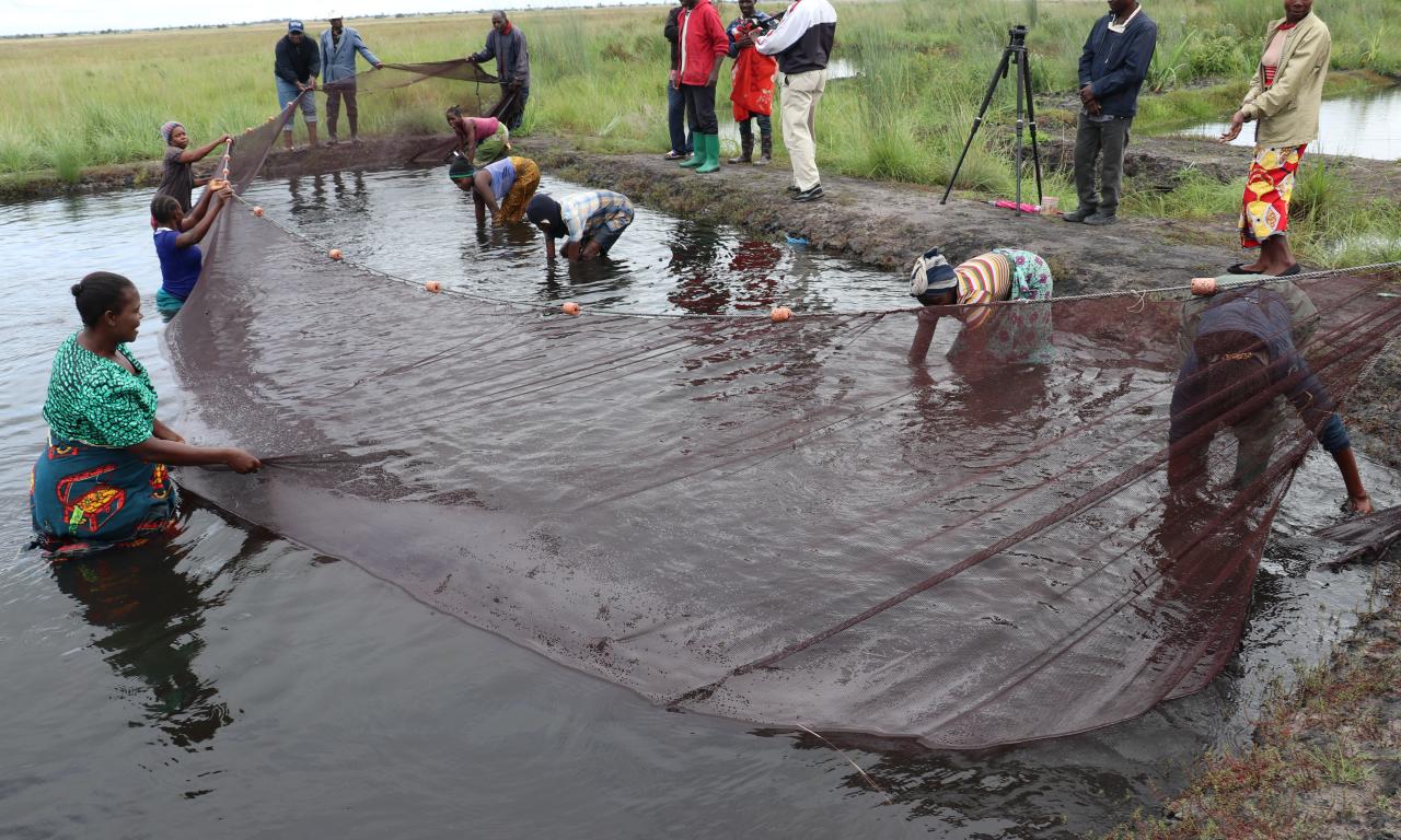 women in zambia