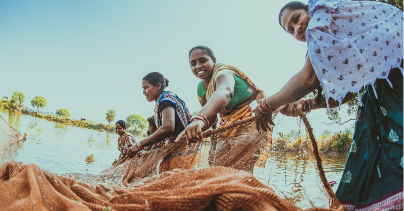 Leveraging on multi-utility waterbodies to sustainably produce aquatic  foods in India