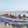 Seaweed harvesting by fishers in Bangladesh