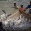 carp farming bangladesh