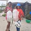 GIFT tilapia farmers nigeria