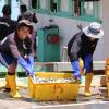 Fish landing at Pasar Besar Kota Kinabalu Photo: Sean Lee Kuan Shern