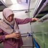 Nurulhuda Ahmad Fatan carries out fish growth experiments to test the aquatic feeds that she formulated and produced. Photo by Sam Sh’ng Sh’ng.