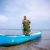 seaweed farming Timor Leste