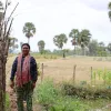 rice field system view with support from CGIAR Multifunctional Landscapes