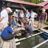 WAVES project partners during a field visit to the Sungai Merbok oyster farm, discussing farming practices and industry challenges with local producers.
