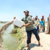 Farmer learning about feeding fish, Abbassa, Sharkia. Photo by Heba El Begawi, WorldFish.