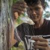 Cleaning fish nets to install them back into the lake. Boeing Kampen CFR. Pursat. Photo by Fani Llauradó, WorldFish.h